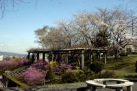 Paysages du Japon