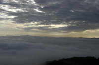 La vue