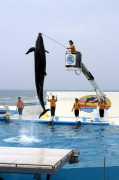 Ocean Park