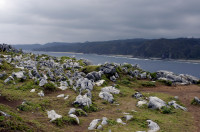 Pointe Nord