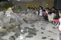 Ocean Park