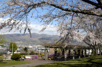 Jardin à Date