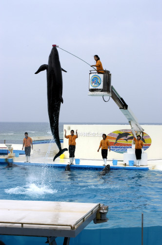 Ocean Park