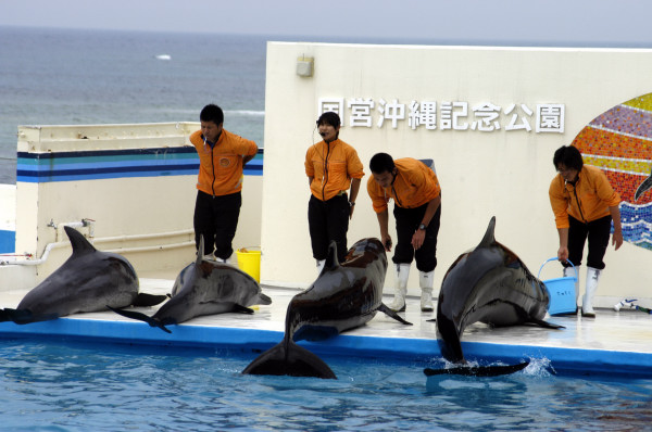 Ocean Park